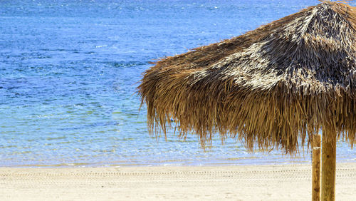 Close-up of driftwood on beach