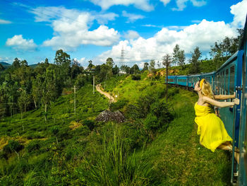 Panoramic view of trees on landscape against sky