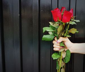 Midsection of person holding bouquet against red wall