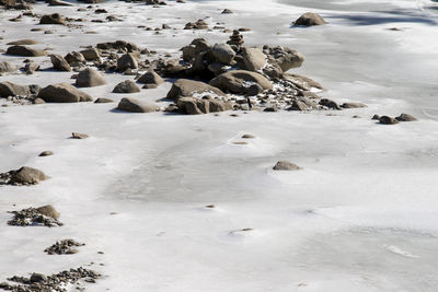 Ice and snow on rock at riverside