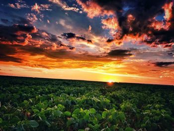 Scenic view of dramatic sky during sunset
