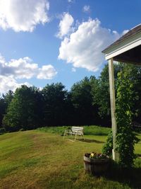 Trees on grassy field