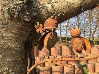 Close-up of tree trunk