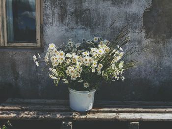 Flowers by window