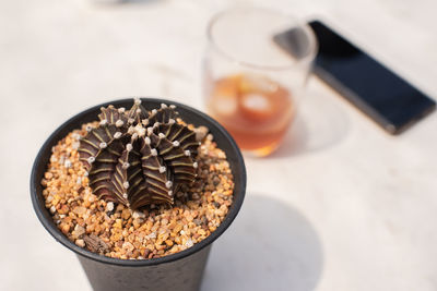 High angle view of coffee on table