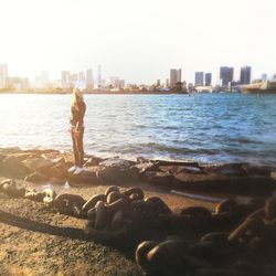 City at waterfront