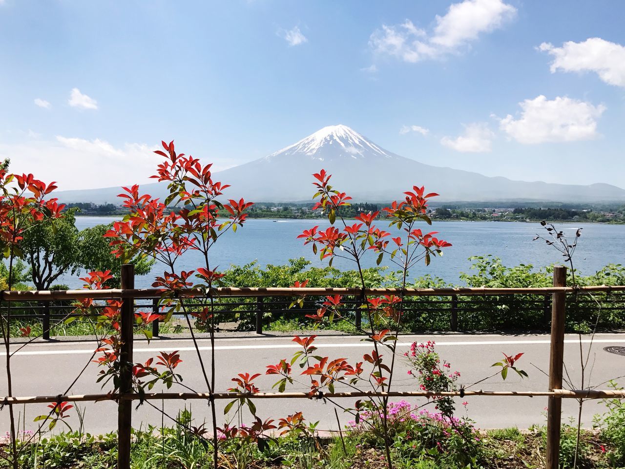 nature, beauty in nature, growth, scenics, mountain, day, sky, water, tranquility, cloud - sky, no people, outdoors, flower, plant, tranquil scene, sea, tree, mountain range, foreground