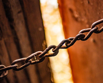 Close-up of chain on barbed wire