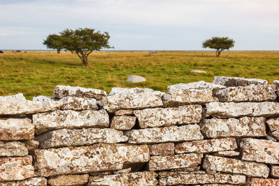 Stone wall by trees on field against sky