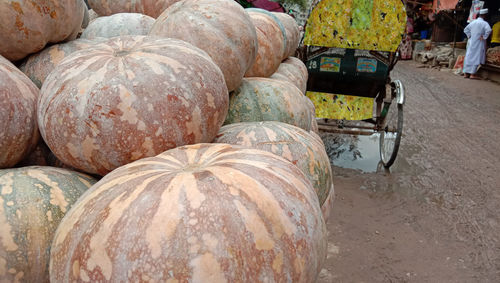 View of pumpkins for sale