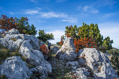 Man hiking on mountain against cloudy sky