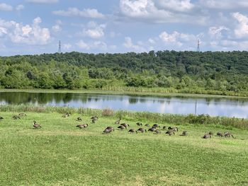 Scenic view of lake against sky