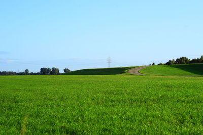 Scenic view of agricultural field against clear sky