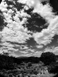 Scenic view of landscape against cloudy sky