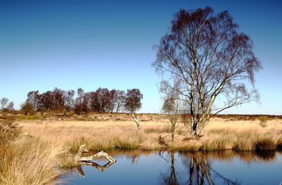 Scenic view of calm lake against clear sky