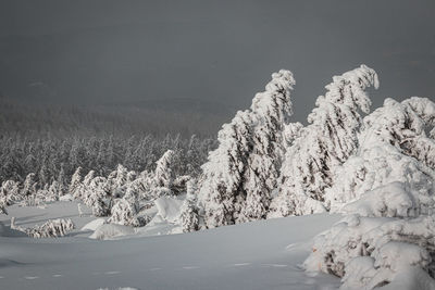 Scenic view of snow covered field against sky