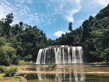 Scenic view of waterfall in forest