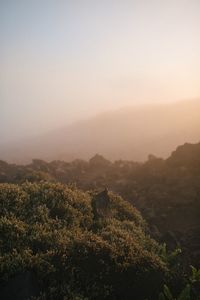 Scenic view of mountains against cloudy sky