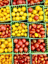 Square green plastic containers of small red and yellow cherry tomatoes and grape tomatoes 