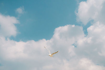 Low angle view of airplane flying in sky