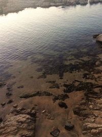 High angle view of beach