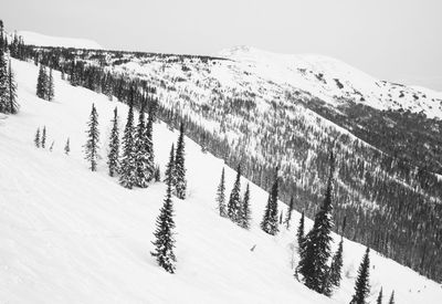 Scenic view of snow covered mountains against sky