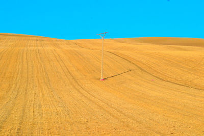 Scenic view of field against clear sky