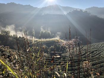 Panoramic view of land and mountains against sky