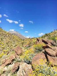 Scenic view of mountain against blue sky