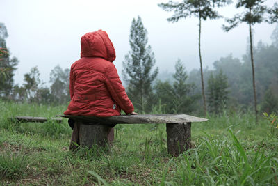 Rear view of girl sitting on nature