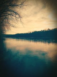 Reflection of trees in lake