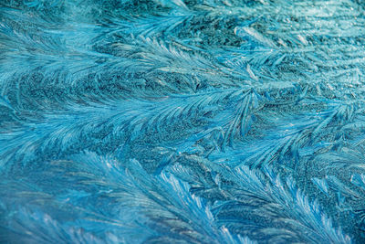 Full frame shot of feathers