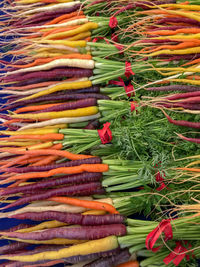 High angle view of multi colored carrots for sale in market
