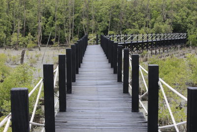 View of wooden bridge in forest