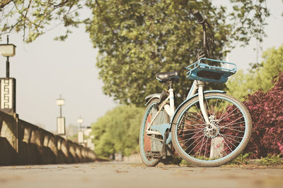 Bicycle parked on road against trees in city