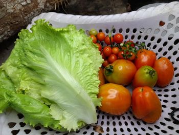 High angle view of tomatoes and vegetables