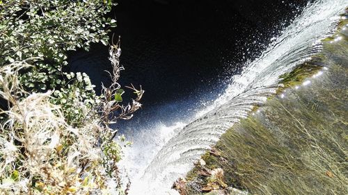 High angle view of waterfall in forest