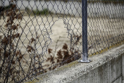 Close-up of chainlink fence against wall