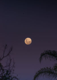 Low angle view of moon against clear sky at night