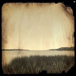 Scenic view of landscape