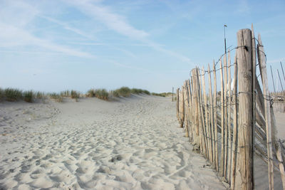 Wooden posts on beach against sky