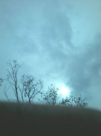 Bare trees on field against cloudy sky