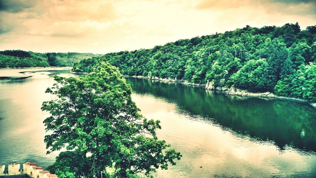 tree, water, reflection, sky, tranquil scene, tranquility, lake, scenics, beauty in nature, nature, waterfront, cloud - sky, cloud, growth, idyllic, green color, cloudy, calm, river, outdoors