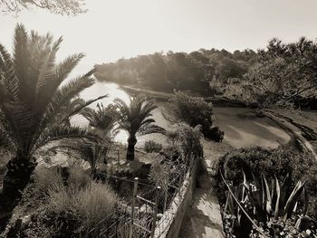 High angle view of palm trees on landscape against sky