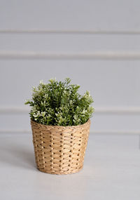Close-up of potted plant in basket against wall