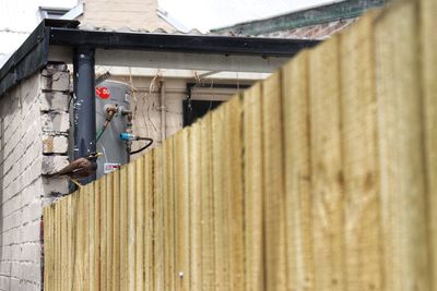 Man working on wall of building