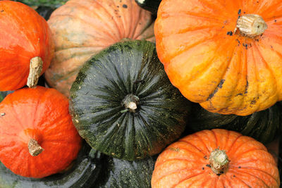 Full frame shot of pumpkins