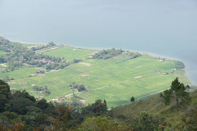 High angle view of trees on land