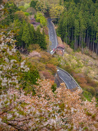 High angle view of road amidst trees in city