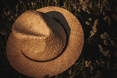 Close-up of hat on field by tree